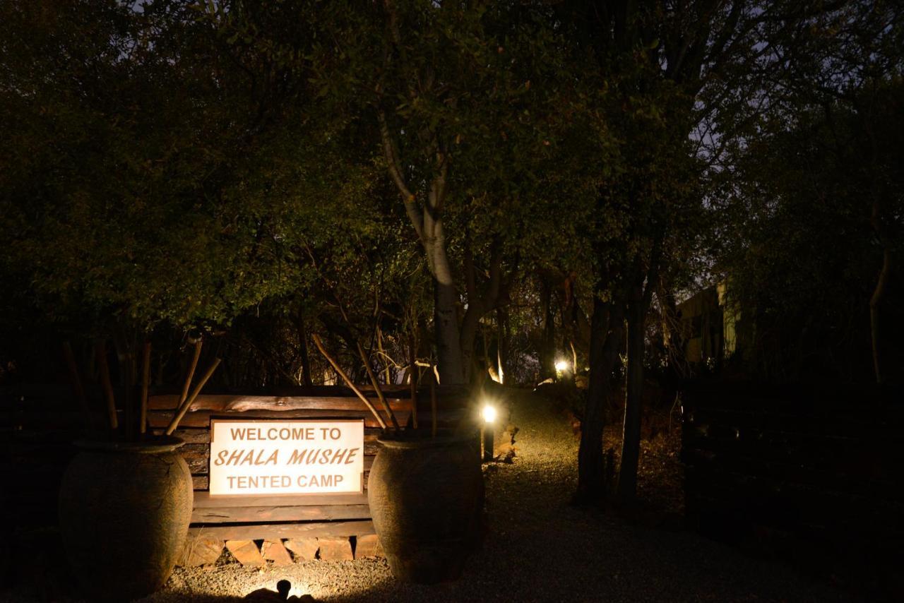Parque de Campismo Shala Mushe Tented Camp & Camp
