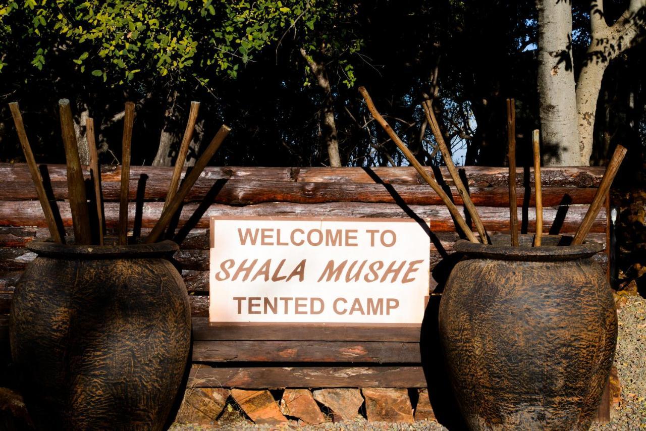 Shala Mushe Tented Camp & Camp Parque de Campismo Bela-Bela