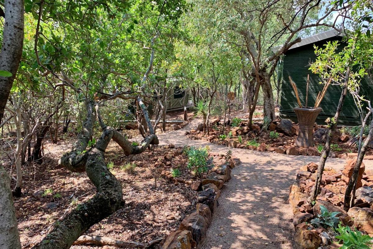 Shala Mushe Tented Camp & Camp
